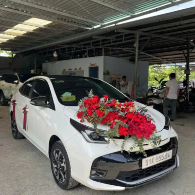 Xe hoa Toyota Vios